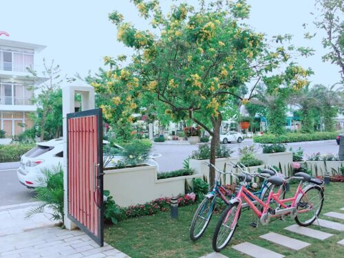 biệt thự flc sầm sơn